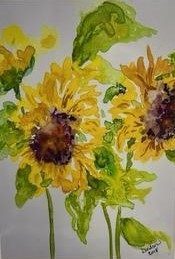 Cut Sunflowers