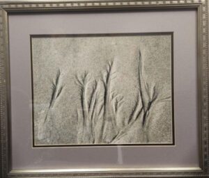 Etchings by the Sea by Joyce Lincoln