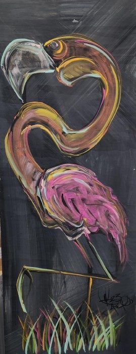 Flamingo by Asher Robinson
