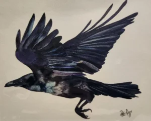 Fly Free Like the Raven by Patti Resso
