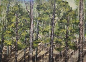 Art From The Heart 2025 Forest Dreamscape Abigail Middleton