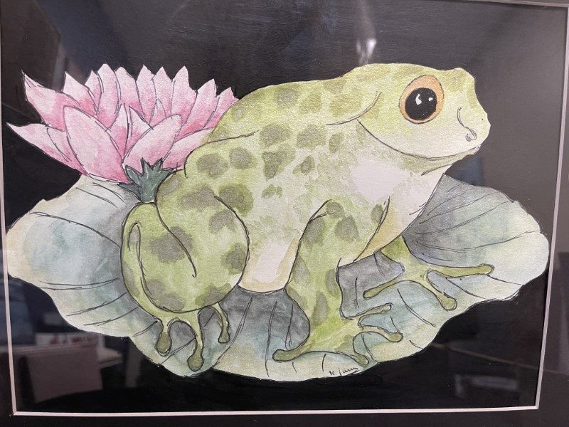 Frog on a lily pad by Kurt Jarvis