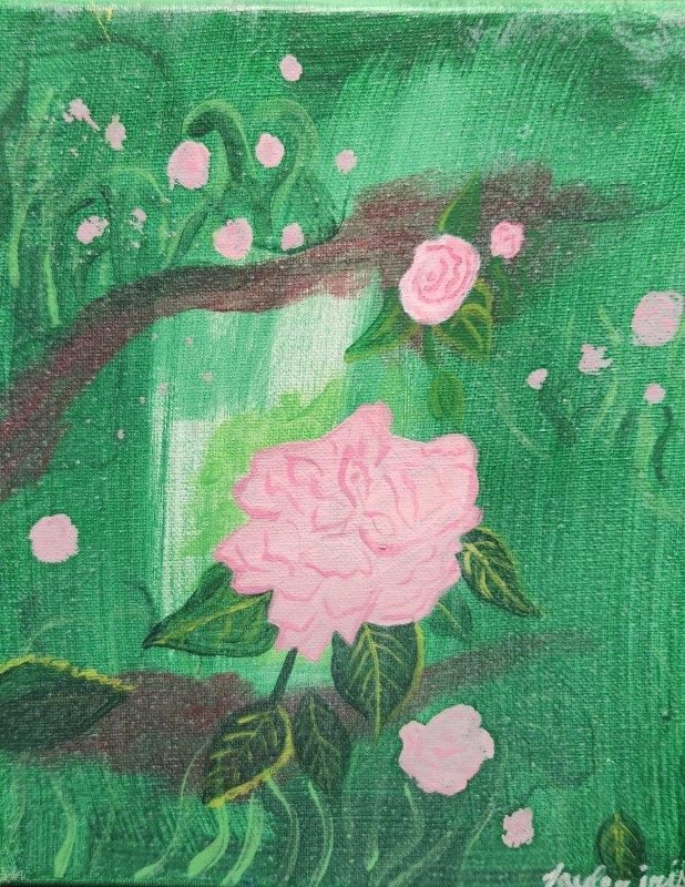 Pink Rose by Tayler Little