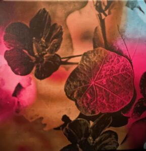 Art From The Heart 2025 Robin Snook Hidden