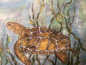 Sea Turtle by Kurt Jarvis
