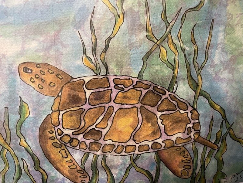 Sea Turtle by Kurt Jarvis