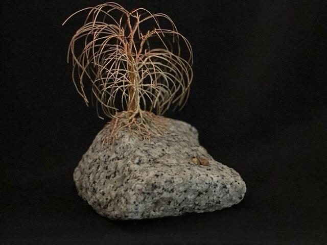 The Willow Within Rooted Rock by Becky Ransome